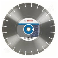    Expert for Stone (300  20/25.4 )    Bosch 2608602593