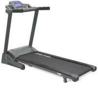    Carbon Fitness T800