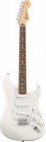Fender Standard Stratocaster RW Arctic White Tint   - ,  - , 