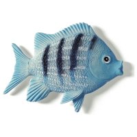     Spirella FISH, , 2 