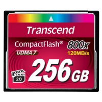   256Gb - Transcend 800x Ultra Speed - Compact Flash TS256GCF800