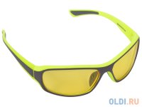  SP Glasses   (   "premium", AD058, -