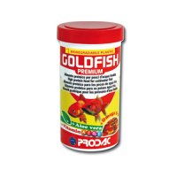  Goldfish Premium 100  20    /       