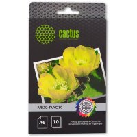  Cactus (CS-Mixpack A6)   Cactus  6     ( 