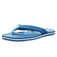  ADIDAS Chewang LUCBLU/WHITE/VISBLU , .  39