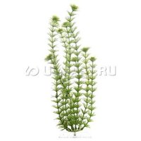  TETRA DecoArt Plant  L (Ambulia L) 30 