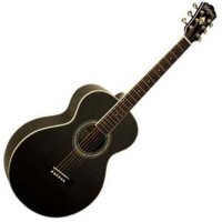   Washburn WPJ5S-B