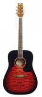   Washburn D10Q(SB, TBLK, TRK)