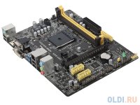   ASUS AM1M-A (SAM1, 2*DDR3, PCI-E16x, SVGA, DVI, HDMI, SATA, GB Lan, mATX, Retail)