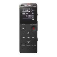   Sony ICD-UX560 