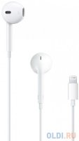    APPLE EarPods with Lightning Connector (MMTN2ZM/A)