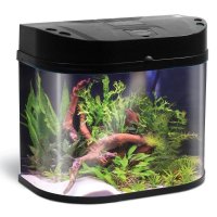  AA-Aquariums Large Arced 20  