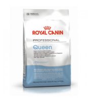 Royal Canin        Queen 4 