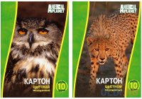    Action Animal Planet A4 10  AP-CC-10/10-2  