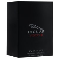 Jaguar "Vision III"    100 