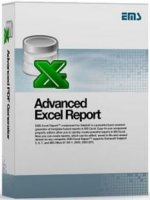  EMS Advanced Excel Report