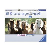  Ravensburger   15091