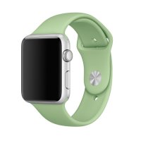  APPLE Watch 42mm Apres S/M Mint