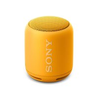   Sony SRS-XB10 ()