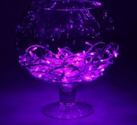  Luazon  10m LED-100-24  Purple 1586019