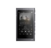  Sony NW-A45HN Black