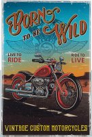  Born to be Wild , 20  30 