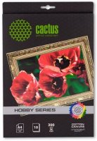  Cactus CS- A426010