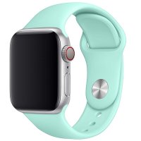  TFN  Apple Watch 38/40 Silicone 
