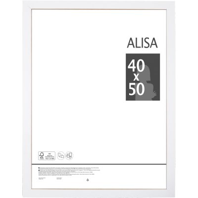  Alisa, 40x50 ,  