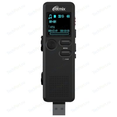 Ritmix RR-100 2Gb  