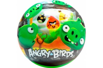  Mondo Angry Birds 23 