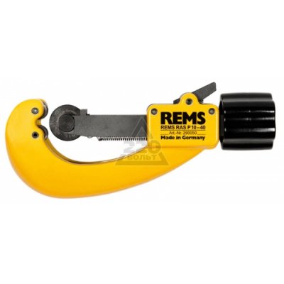  REMS RAS P 290050