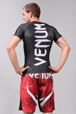  Venum  Giant (, XXL)