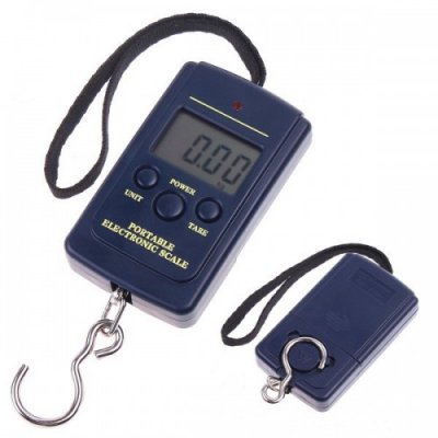 SmartScale 0140 / Garin DS2  