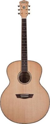   Washburn WMJ40S