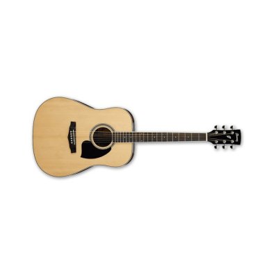   Ibanez Dreadnought PF15-NT