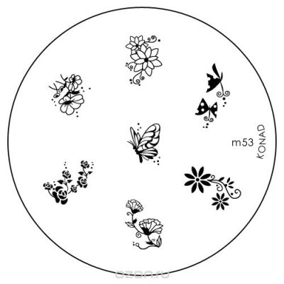 Konad   () M53 image plate