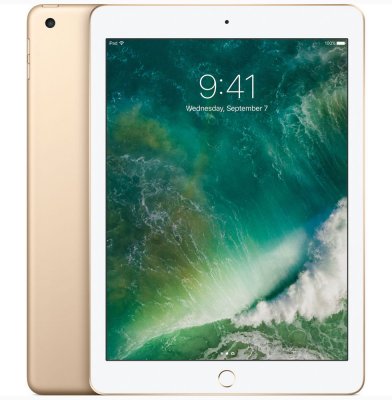  Apple iPad 32GB Wi-Fi Gold (MPGT2RU/A)