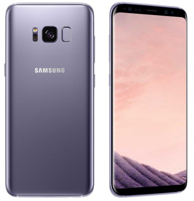  Samsung SM-G950FD Galaxy S8 64Gb Orchid Gray