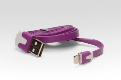   iQFuture Lightning to USB Cable for iPhone 5/iPod Touch 5th/iPod Nano 7th/iPad 4/iP