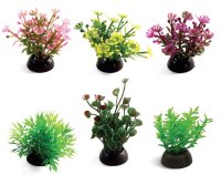 Набор растений для аквариума "Laguna 1143LD" (6 штук), 5 см