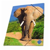 Папка на резинках Слон (3D-дизайн, ламинир.картон)