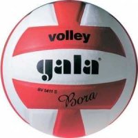 Мяч волейбольный Gala Bora 10", арт. BV5671S, р. 5, бело-красный
