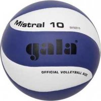 Мяч волейбольный Gala Mistral 10, арт. BV5661S, р. 5, бело-синий