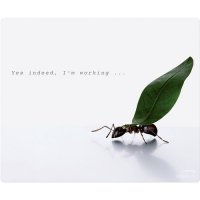    Speedlink SILK, Working Ants (SL-6242-P01-A)