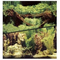 Фон для аквариума HAGEN двухсторонний растительный/растительный 30 см (цена за 10 см)