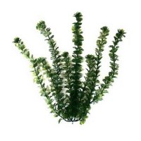 Растение для аквариума Tetra DecoArt Plant Кабомба XXS (Green Cabomba XXS) 5 см