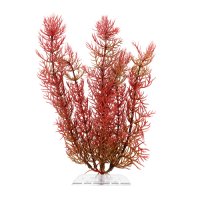 Растение для аквариума Tetra DecoArt Plant Перистолистник красный XXS (Red Foxtail XXS) 5 см