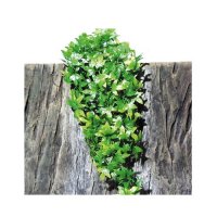 JBL TerraPlanta Congo Efeu - Искуственное подвесное растение для террариумов 22 см.