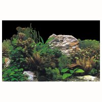 Фон для аквариумов и террариумов HOBBY РАСТЕНИЯ высота 50 см, цена за 10 см